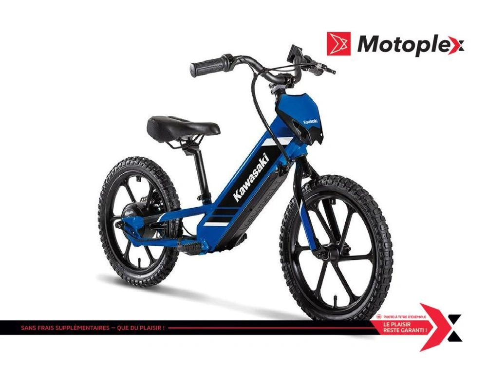 Kawasaki Elektrode 17 2027 alt