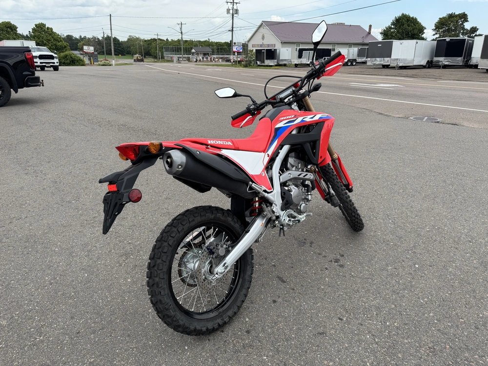 2024 Honda Crf300l alt