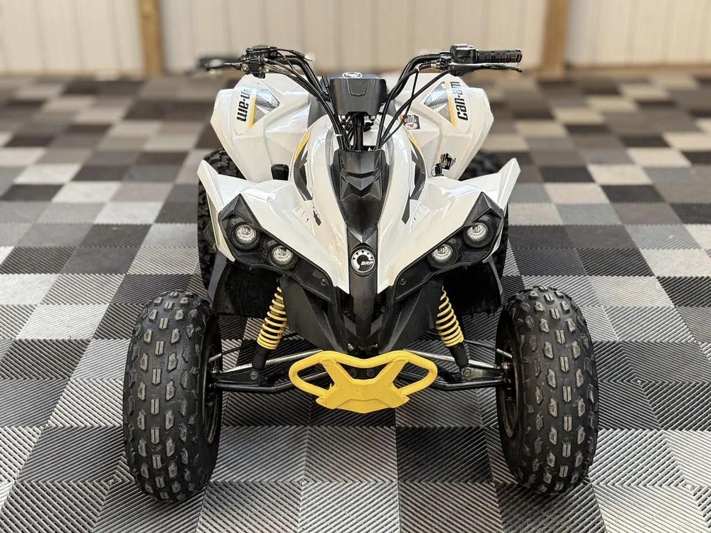 2024 Can-am Renegade 110 alt