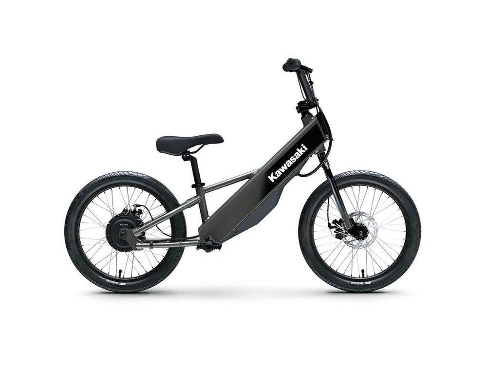 2027 Kawasaki Elektrode 20fs alt