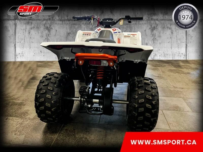 Cfmoto Cforce Ev 110 2024 alt