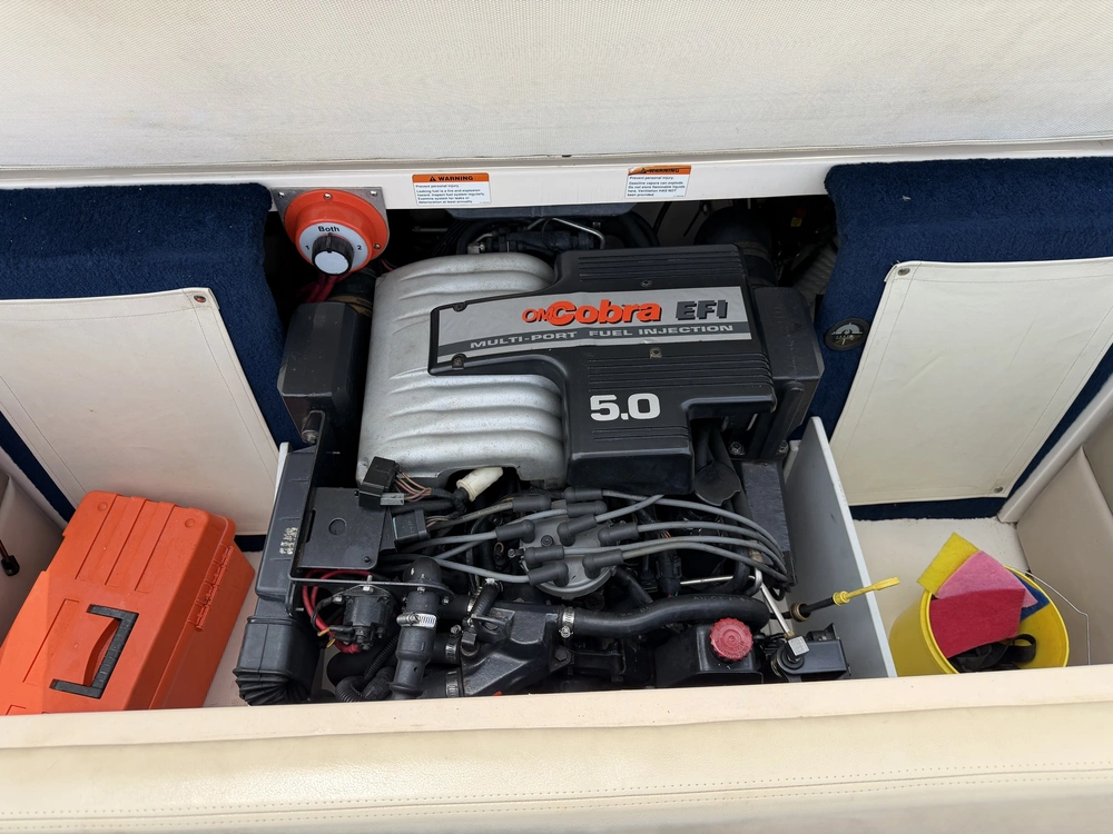 1994 Chris-craft 218 Concept With Omc Cobra 5.0l alt