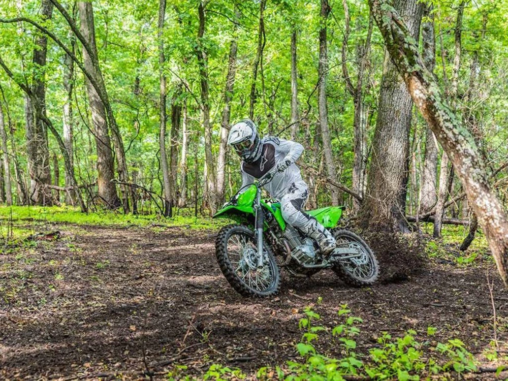 2026 Kawasaki Klx230r S alt