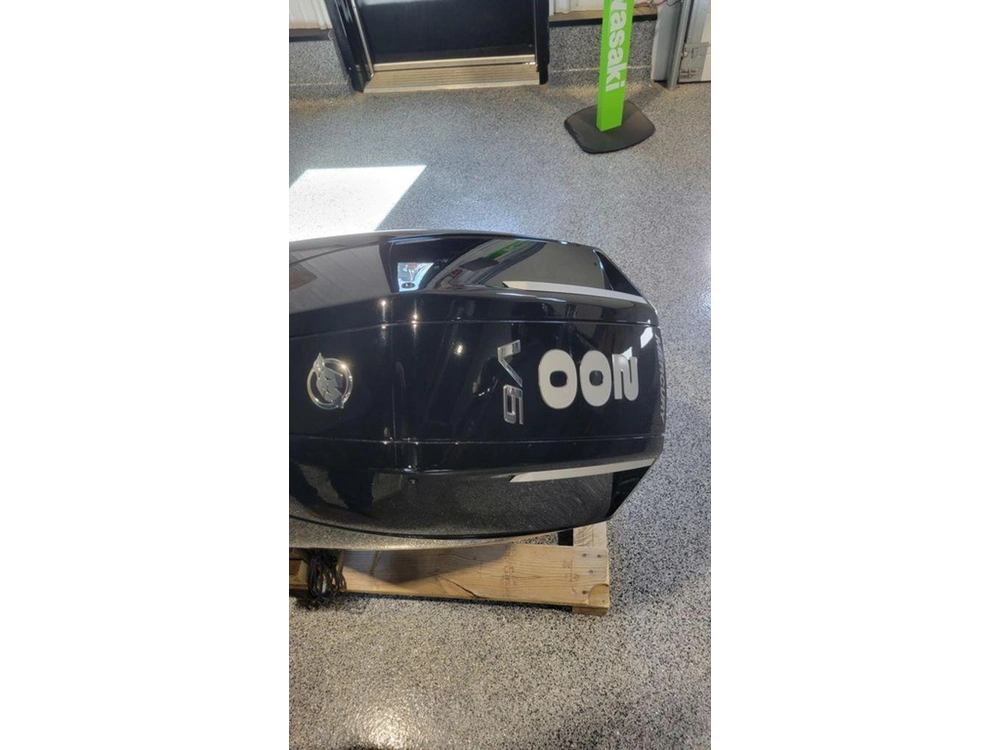 2024 Mercury Fourstroke 200 Hp alt