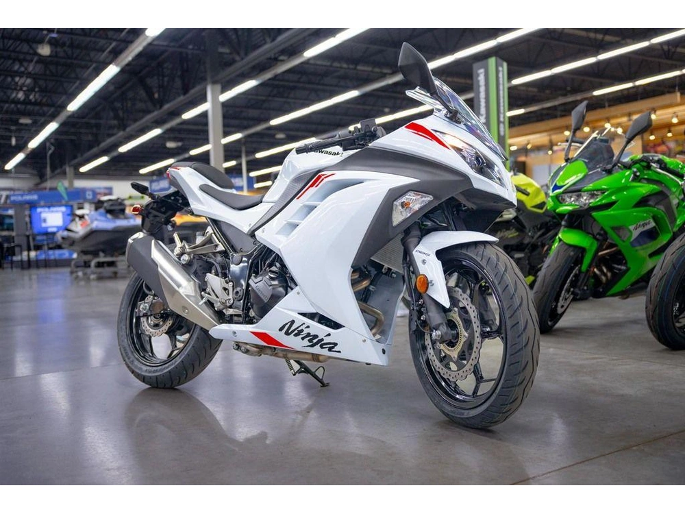 2026 Kawasaki Ninja® 300 Abs alt