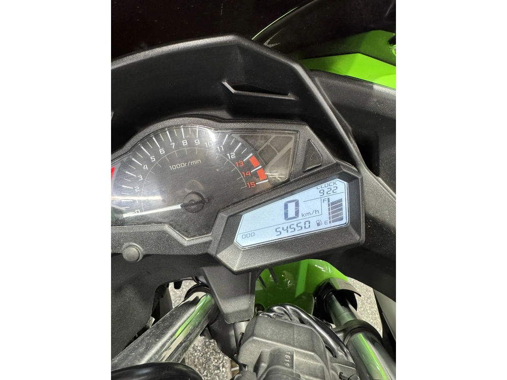 Kawasaki Ninja 300 2013 alt