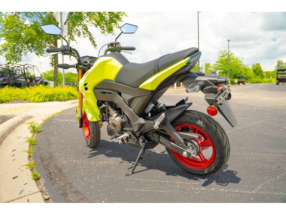 2026 Kawasaki Z125 Pro alt