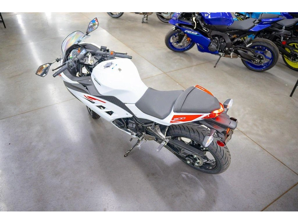 2026 Kawasaki Ninja® 300 Abs alt