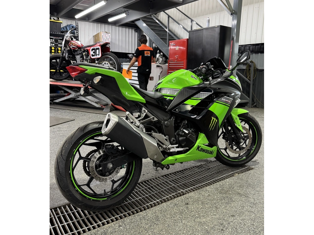 Kawasaki Ninja 300 2013 alt