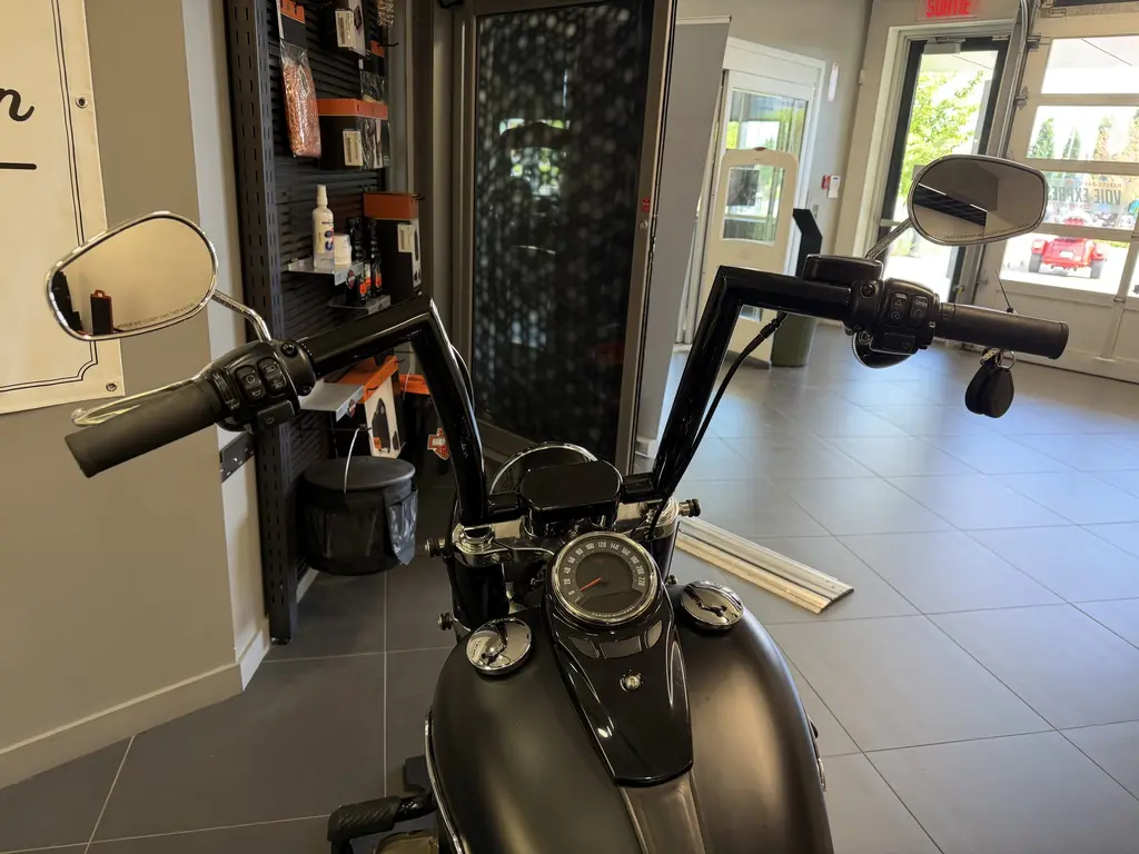Harley-Davidson SOFTAIL SLIMFLSL 2019