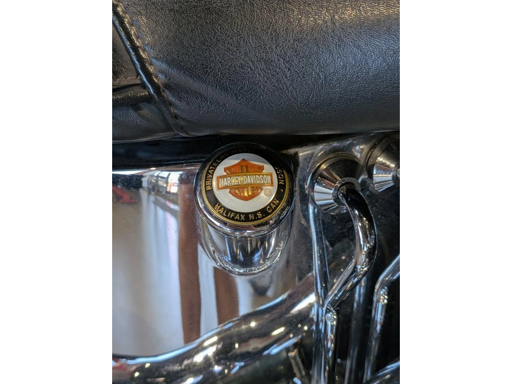 2009 Harley-davidson Heritage Softtail Flstc alt