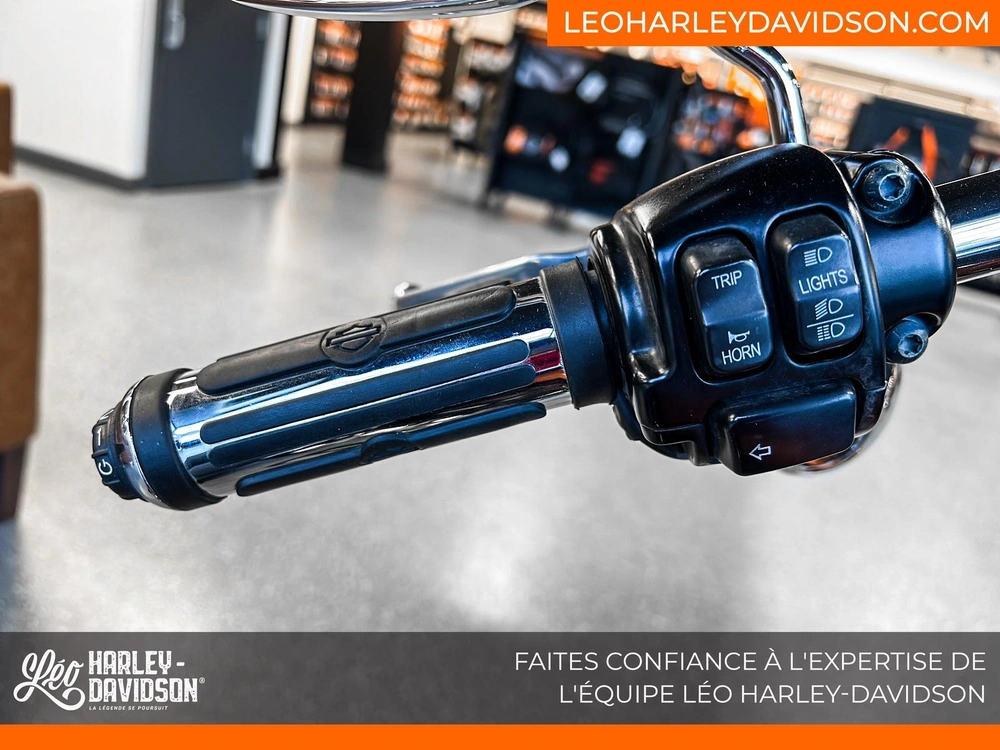 2014 Harley-davidson Fxdl Dyna Low Rider alt