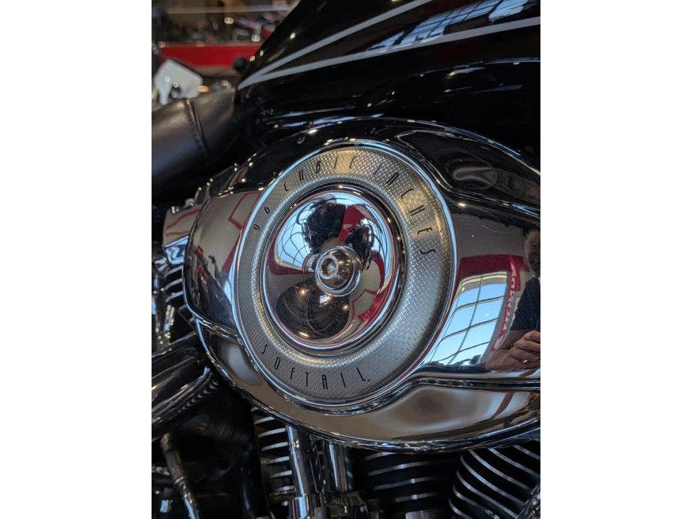 2009 Harley-davidson Heritage Softtail Flstc alt
