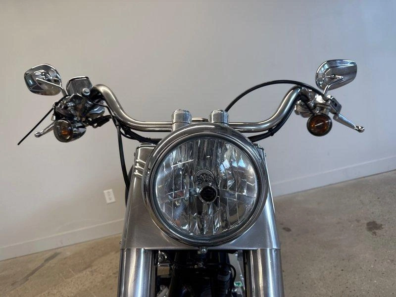 2006 Harley-davidson Cruiser Flstf - Fat Boy™ alt