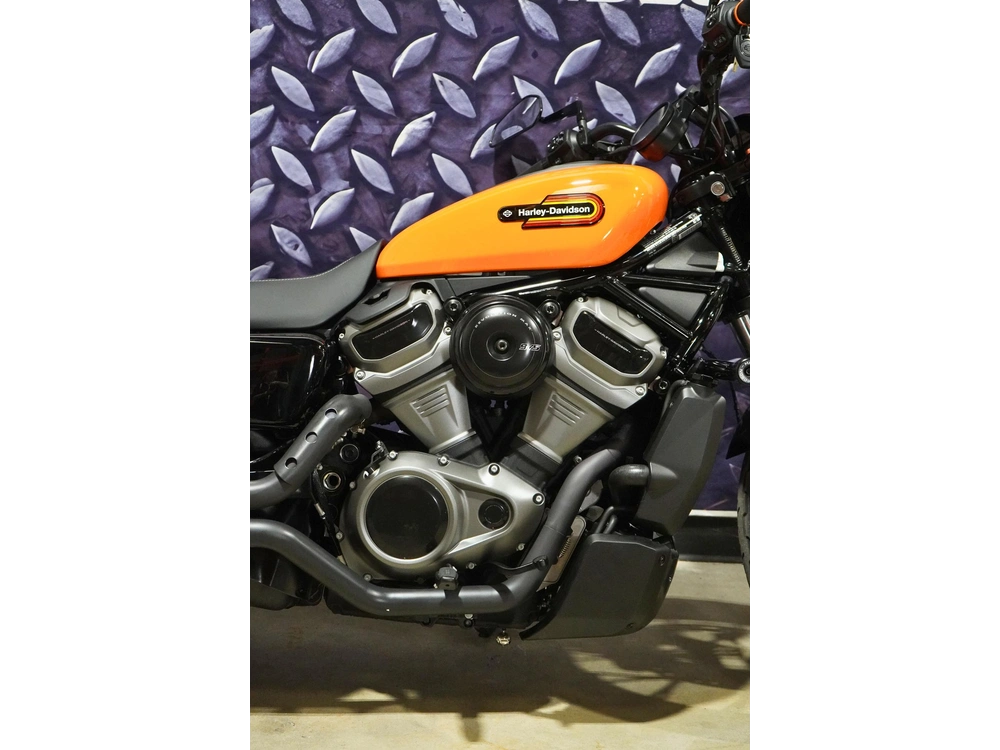 2024 Harley-davidson Rh975s Nightster Special alt
