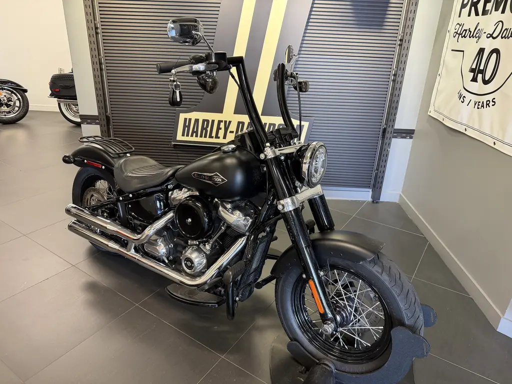 Harley-Davidson SOFTAIL SLIMFLSL 2019