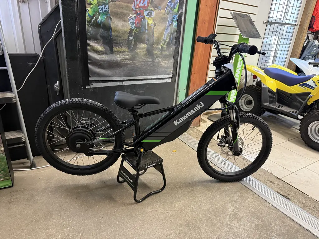 2025 Kawasaki Elektrode 20 