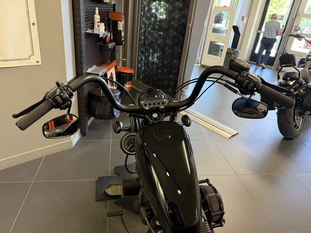 2013 Harley-Davidson SPORTSTER 1200 48XL1200X