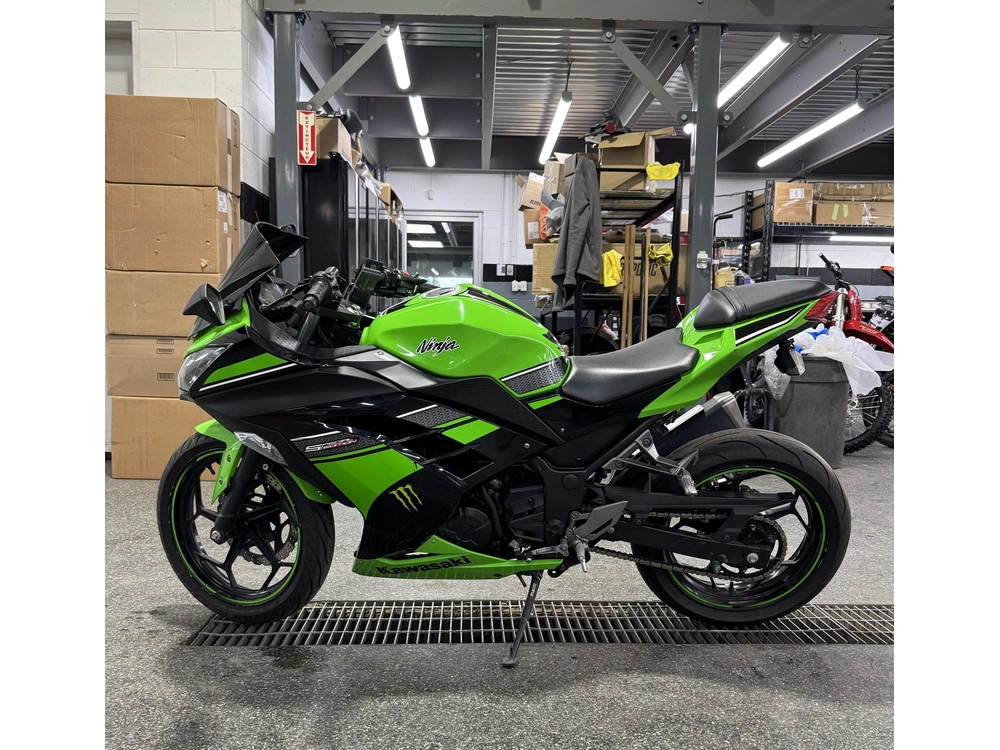 Kawasaki Ninja 300 2013 alt