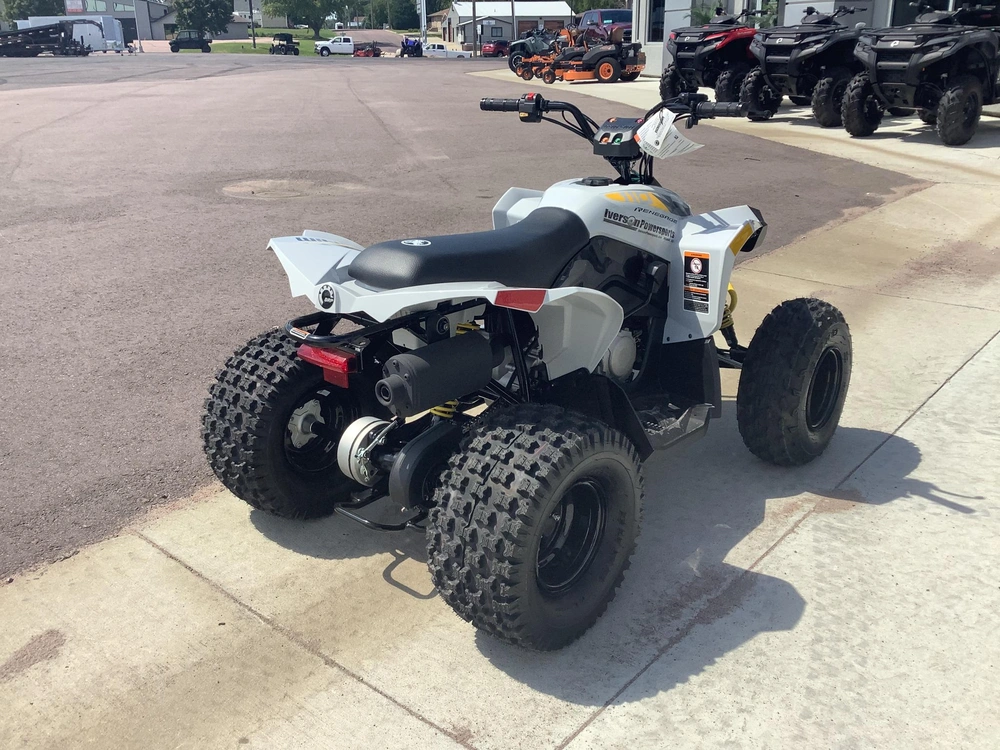 2026 Can-am Renegade 110 alt