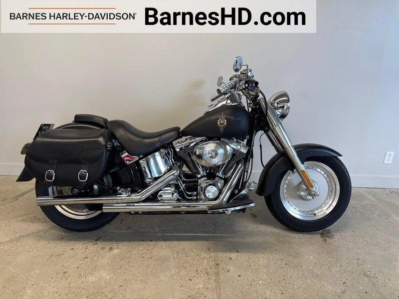 2006 Harley-davidson Cruiser Flstf - Fat Boy™ alt