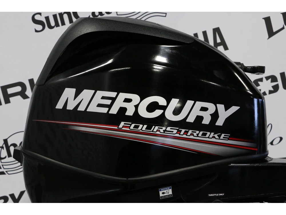 2019 Mercury 30elhpt Démarreur Électrique, Pied Long (20 Pouces) alt