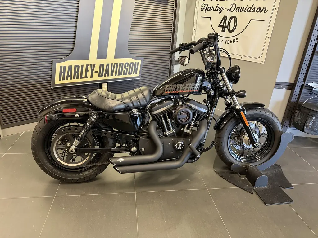 2013 Harley-Davidson SPORTSTER 1200 48XL1200X