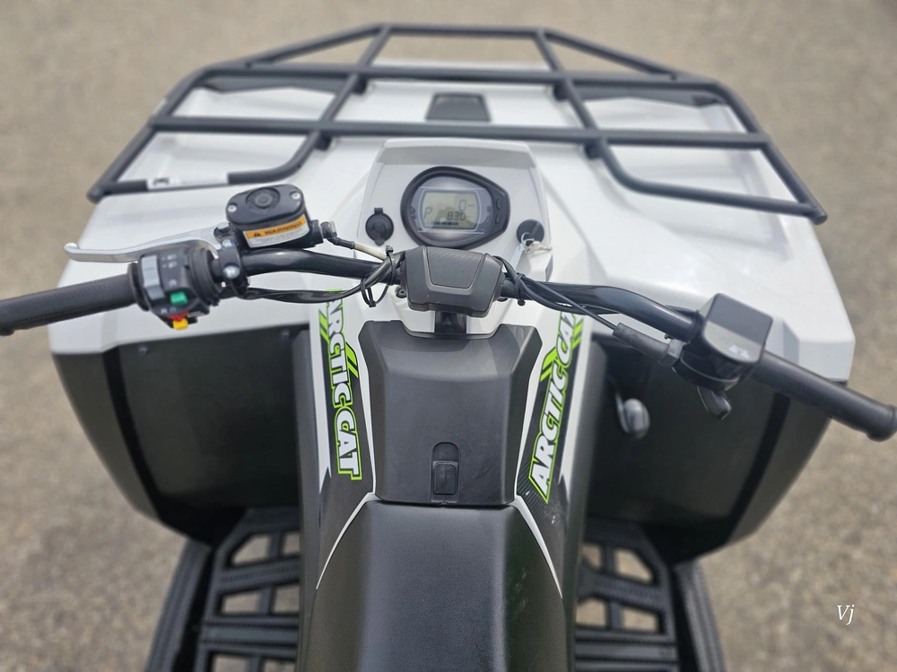 2023 Arctic Cat Alterra 600 Trv alt