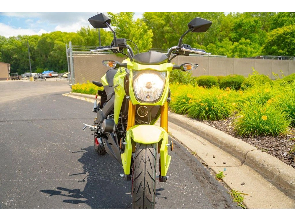 2026 Kawasaki Z125 Pro alt