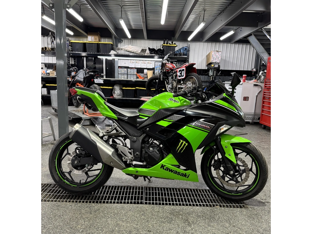 Kawasaki Ninja 300 2013 alt