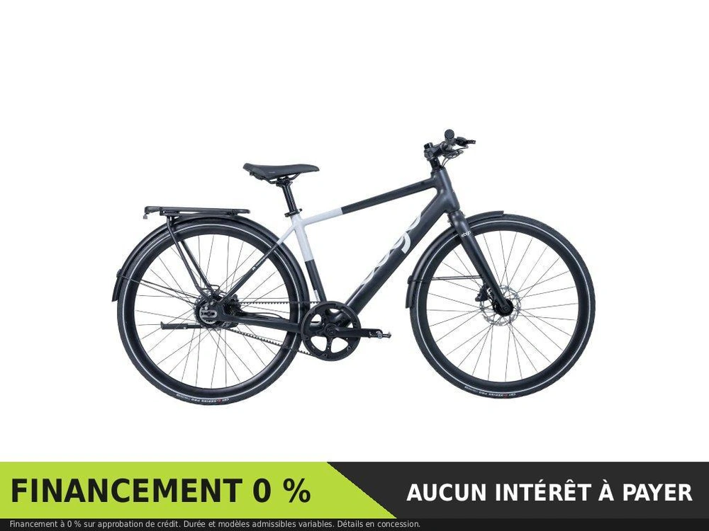Ebgo Modal Top Bar 350w 2026 alt