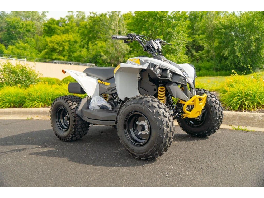 2026 Can-am Renegade 70 Efi alt