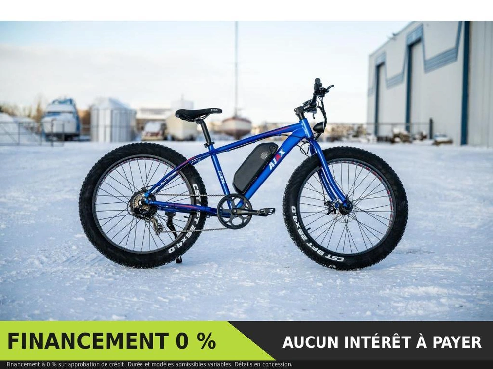 Slane Ajax Fat Tire 2024 alt