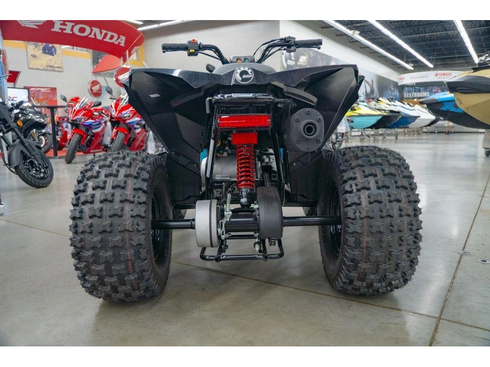 2026 Can-am Renegade 110 Efi alt