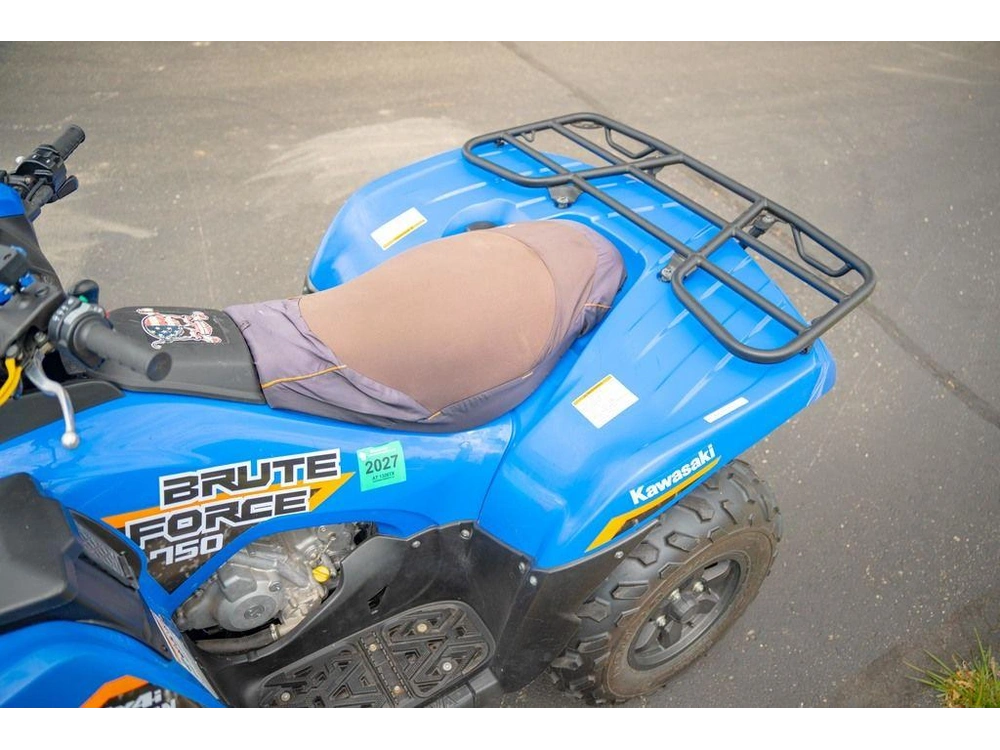2019 Kawasaki Brute Force® 750 4x4i Eps alt