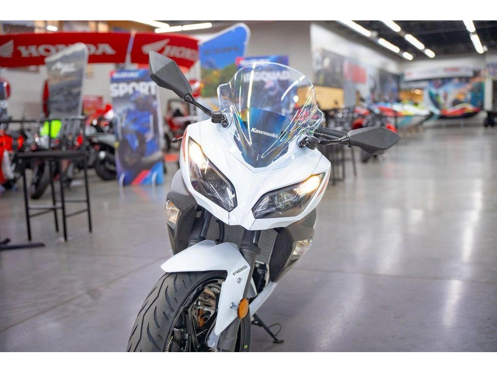 2026 Kawasaki Ninja® 300 Abs alt