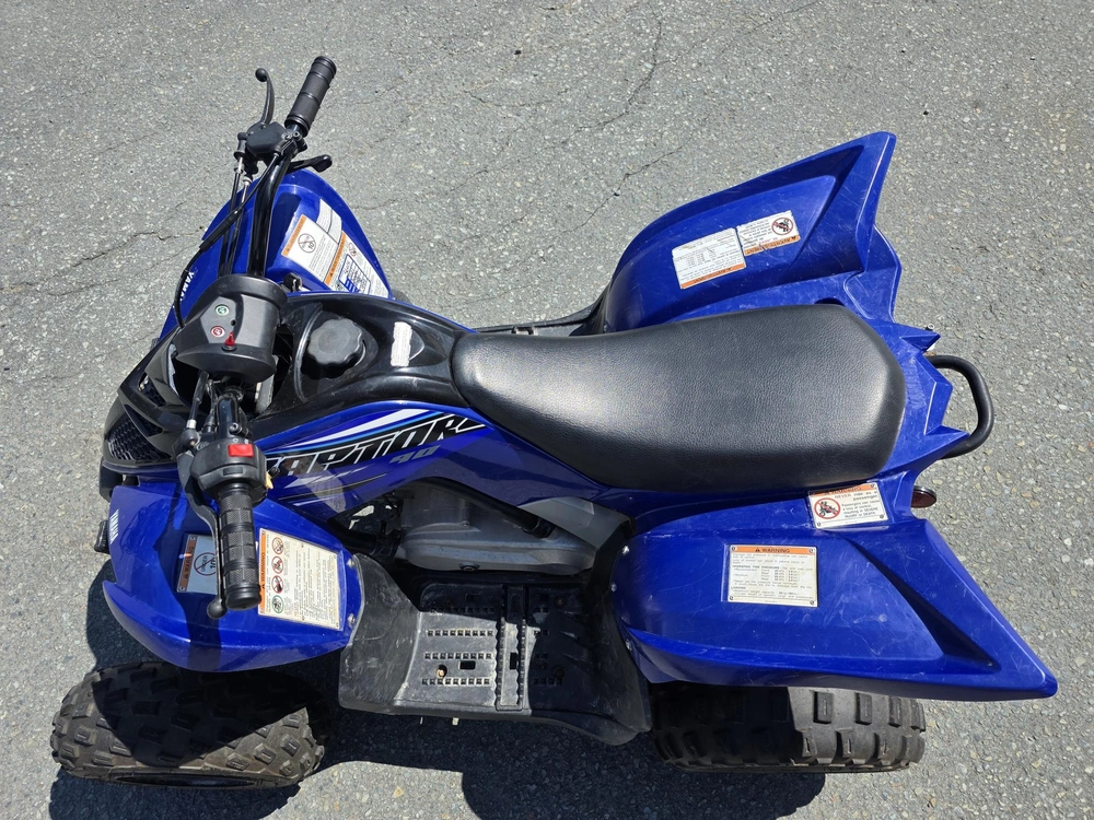 2021 Yamaha Raptor 90 alt