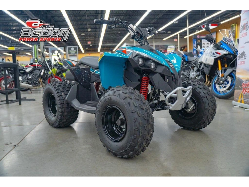 2026 Can-am Renegade 110 Efi alt