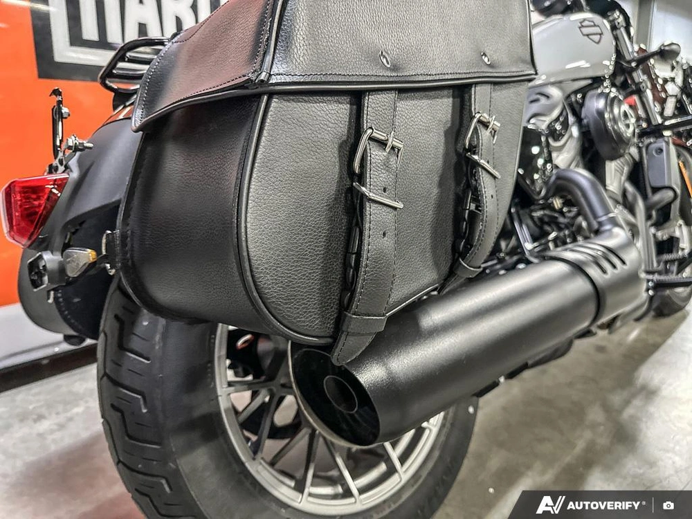 2024 Harley-davidson Nightster S alt