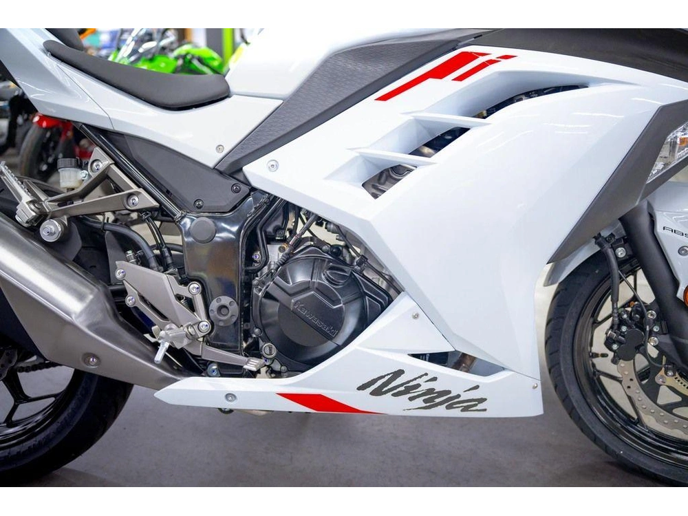 2026 Kawasaki Ninja® 300 Abs alt