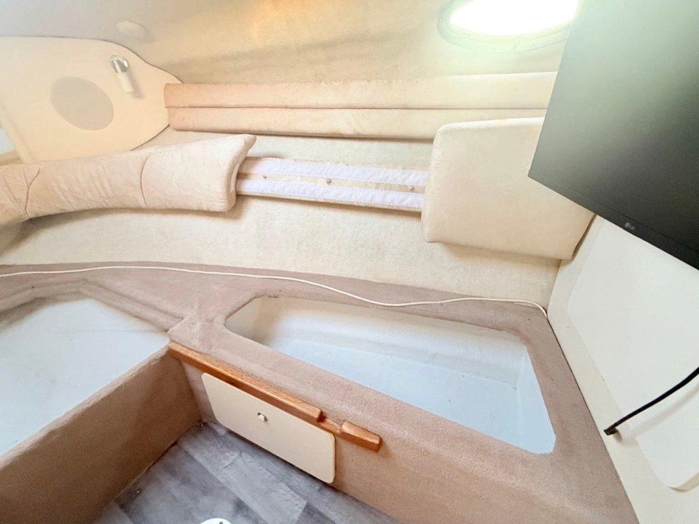 Sea Ray Sundancer 260 1999 alt