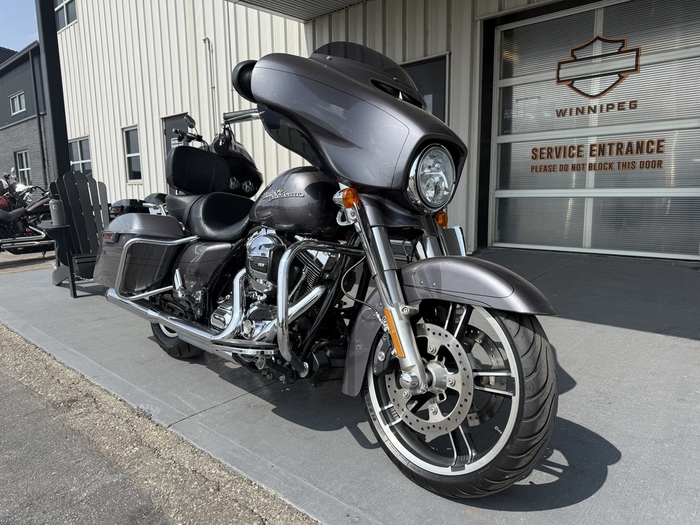 2015 Harley-davidson Street Glide Special alt