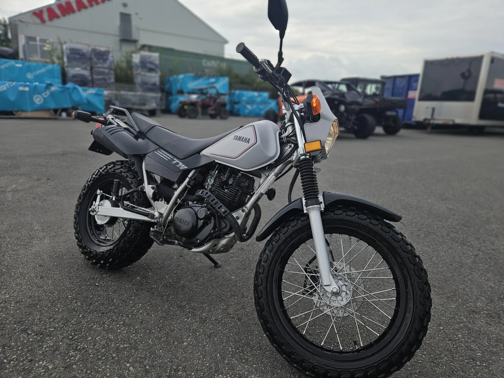 2024 Yamaha Tw200 alt