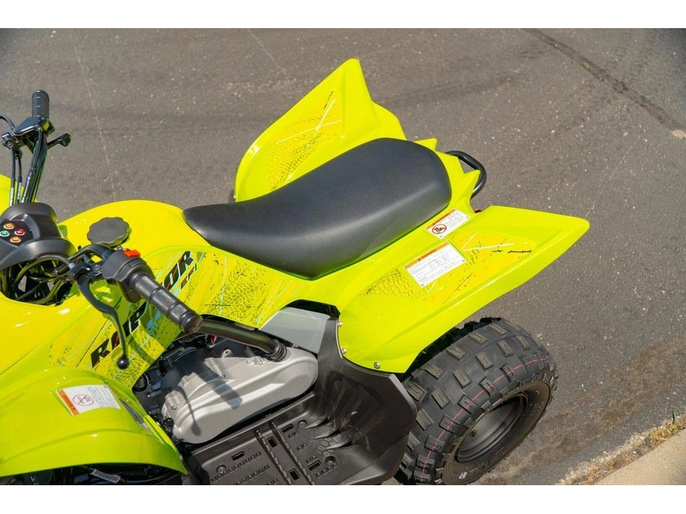 2026 Yamaha Raptor 110 alt