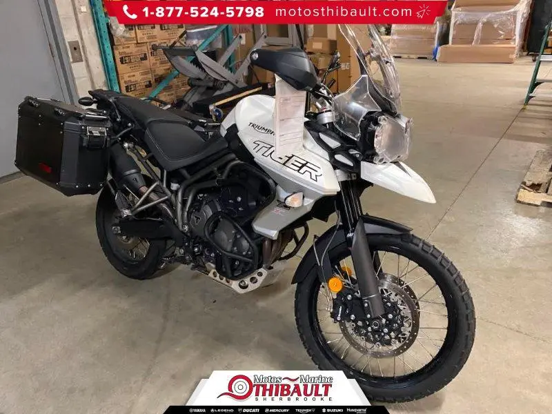 Triumph TIGER 800XCX 2019