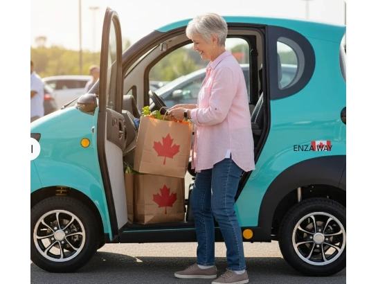 2026 Evoque Enza Enclosed Mobility Scooter 60v 80ah alt