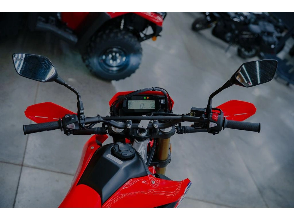 2025 Honda Crf300l alt