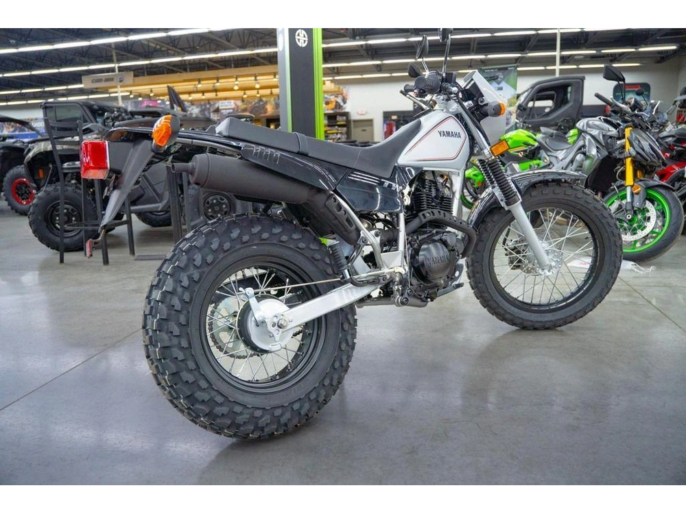 2026 Yamaha Tw200 alt