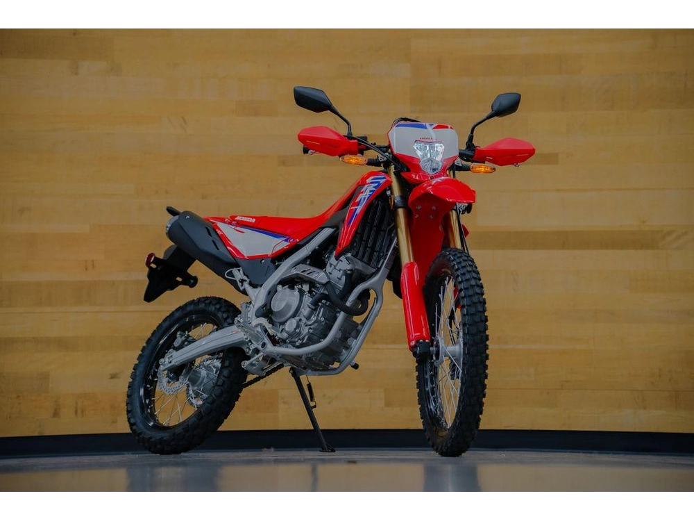 2025 Honda Crf300l alt