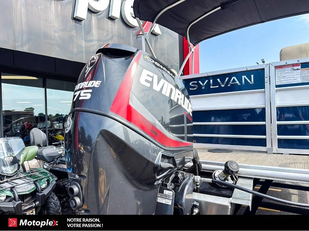 Sylvan Mirage 8520 *liquidation* 2018 alt